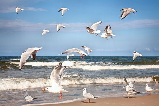 1-baltic-coast