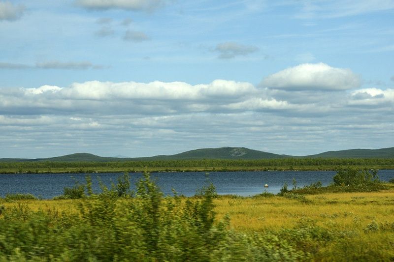 1-fin-450 01