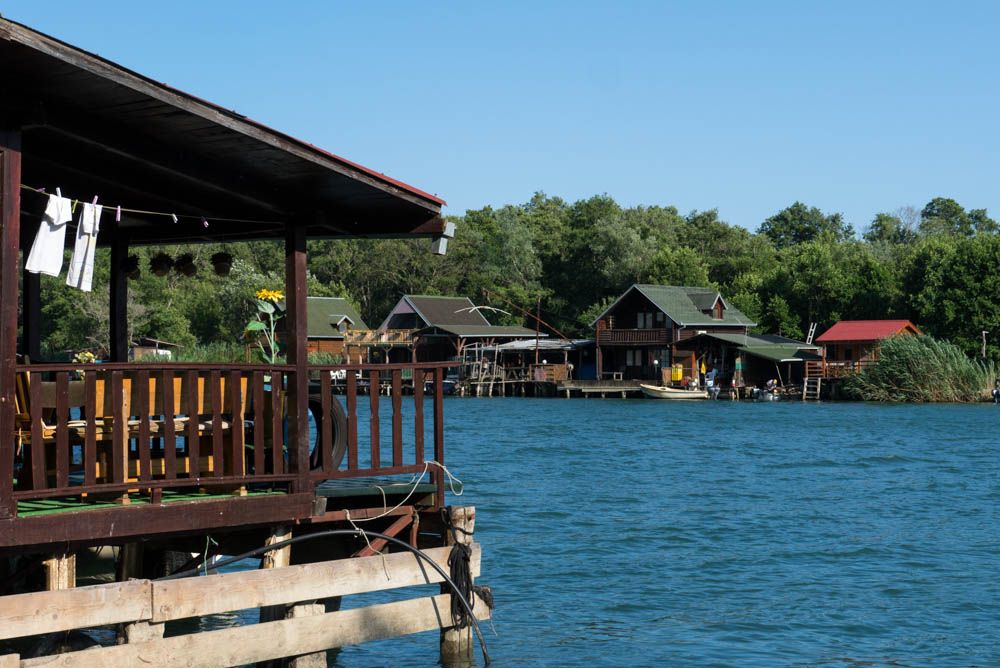 2-arenda