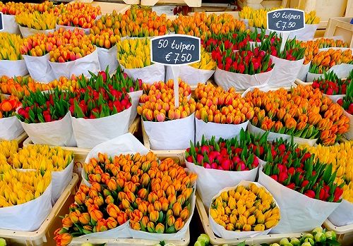 1-flowers