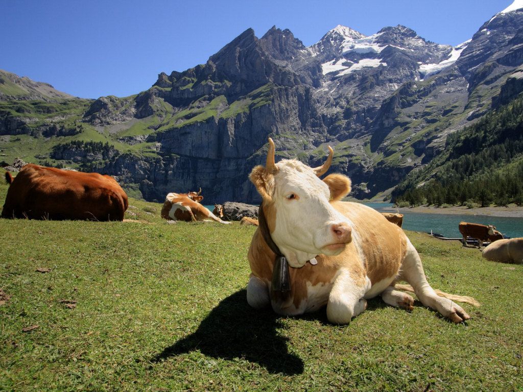 2-la-compagna-Hyame