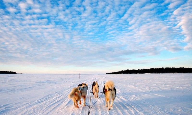 1-Lapland