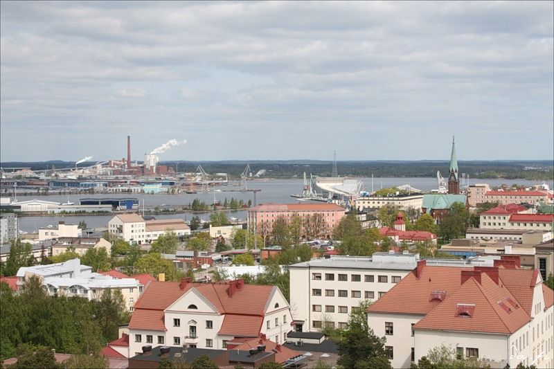 kotka