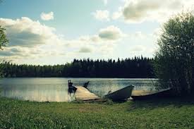 1-art-campo