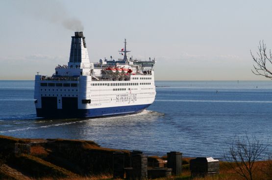 2-cruisess-ind