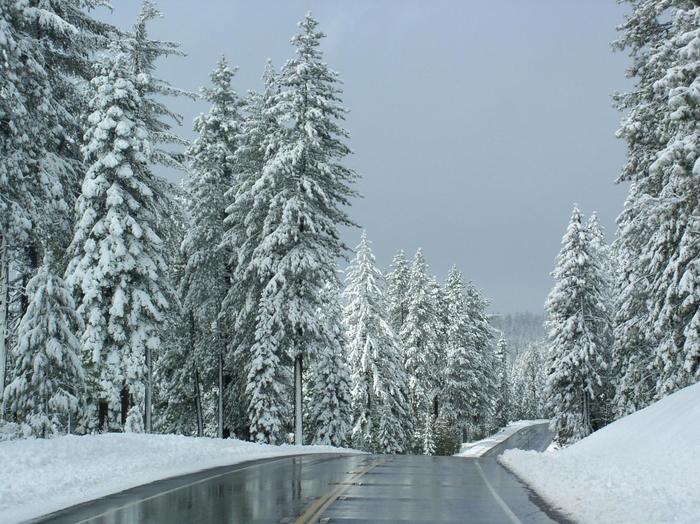 2-finn-roads