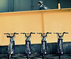 2-velosipednyy-turizm-i-ego-osobennosti