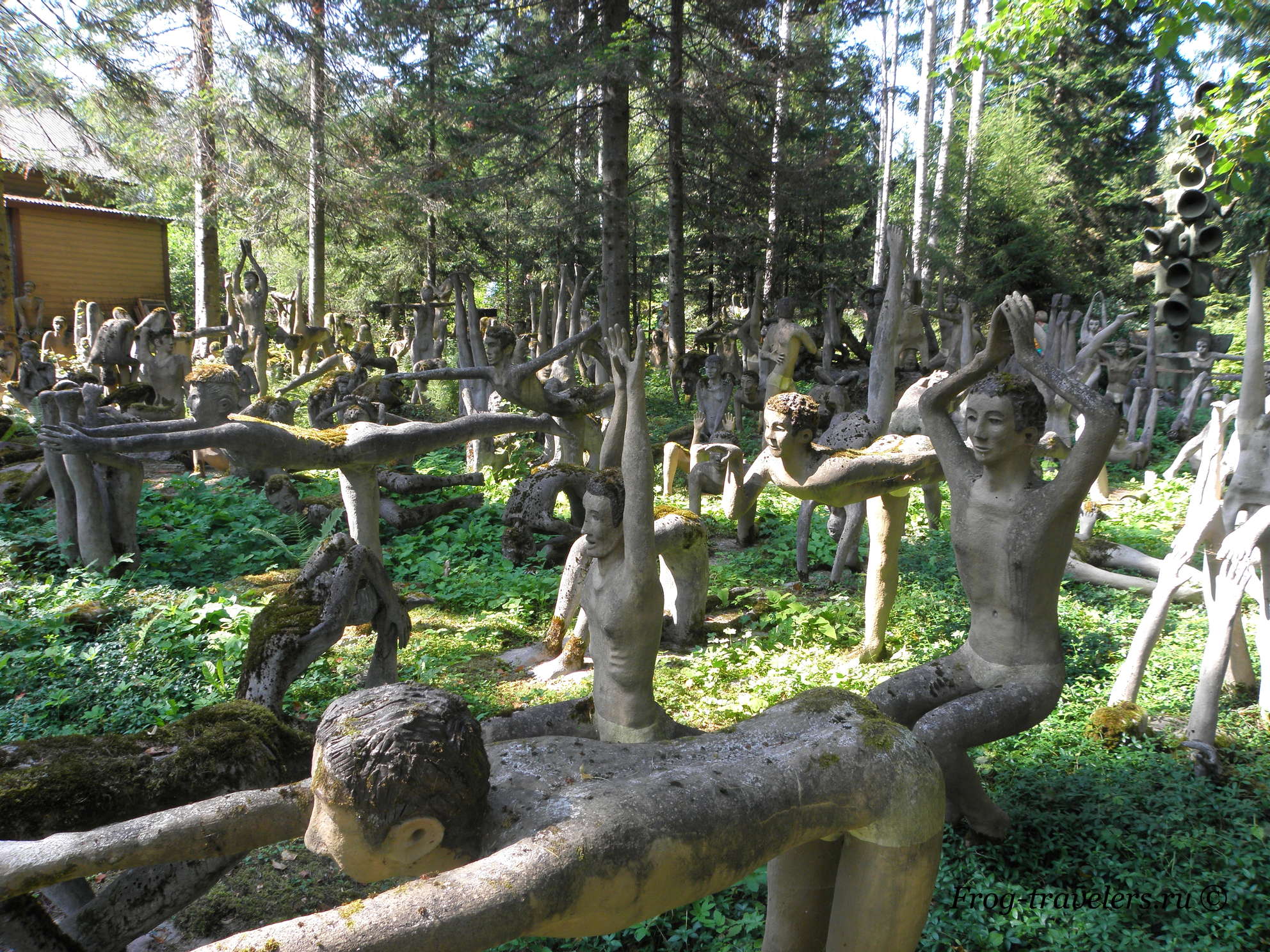 FinlandMysticalWood25