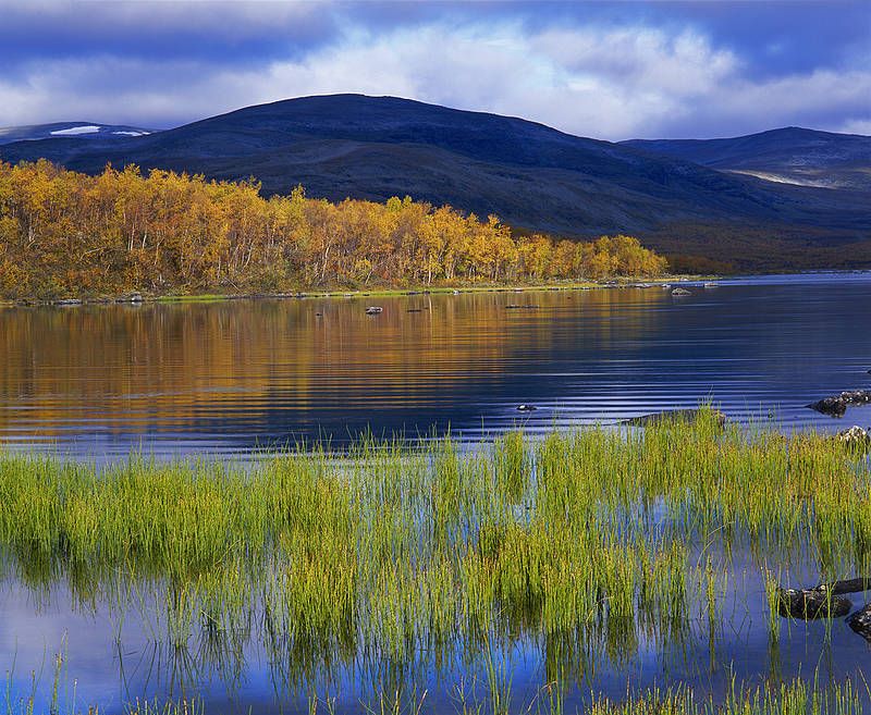 osen-finlandia