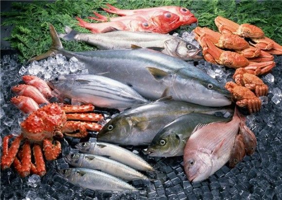 fish-580x411