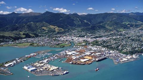 nelson city creditdw