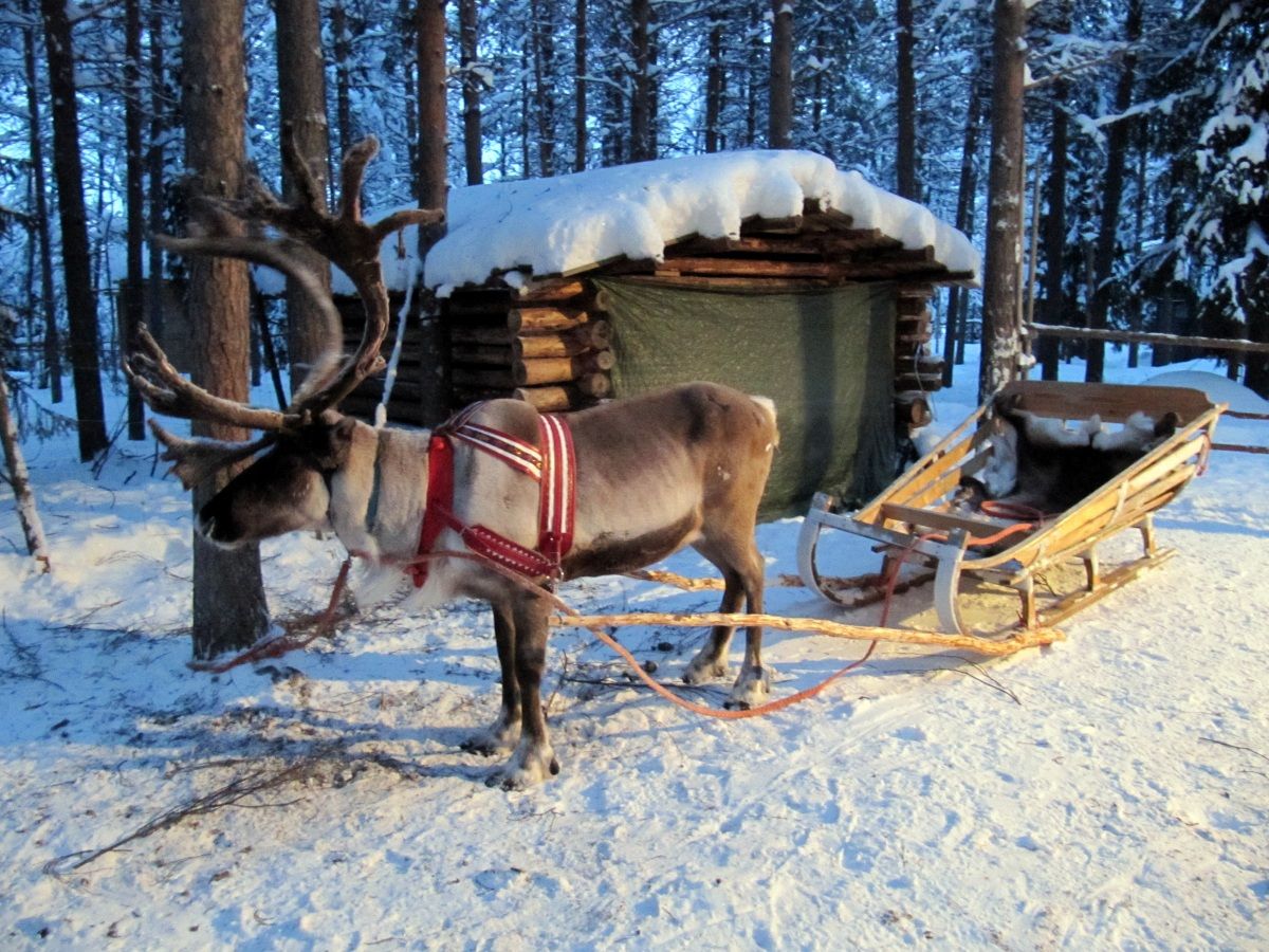 new-year-in-finland