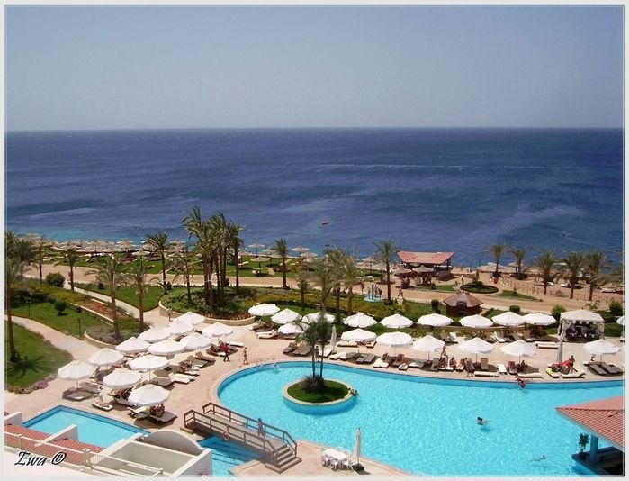1-Red sea