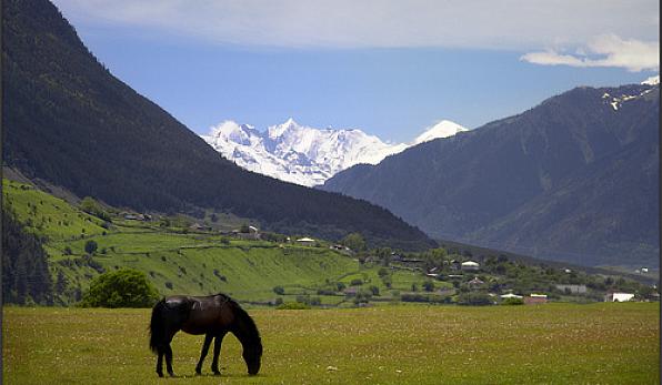 2-Kavkaz