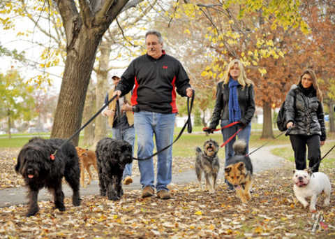 alg middle village dogpark