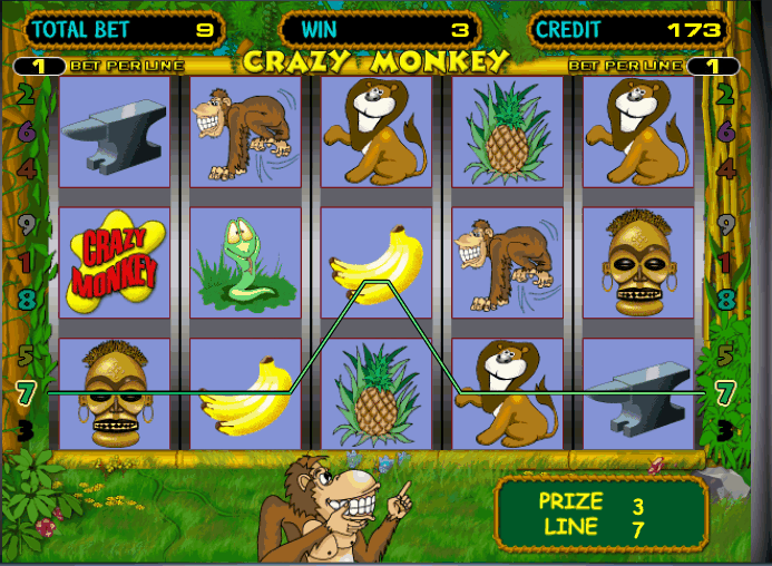 crazymonkey
