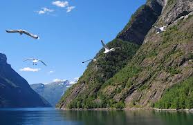 1-cruises-finnen