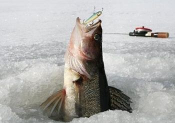 2-images-finland