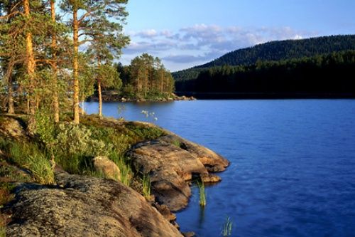 2 koli
